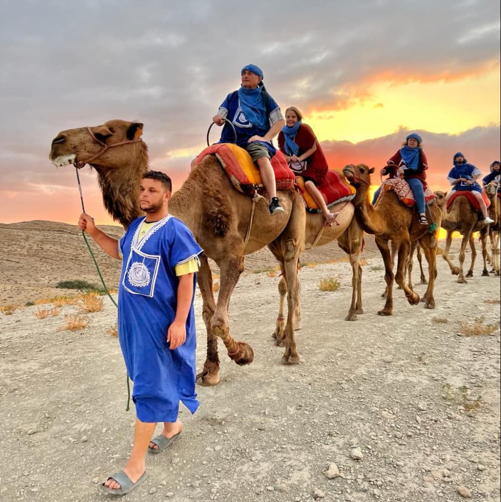 Camel Ride + Dinner Show Pack